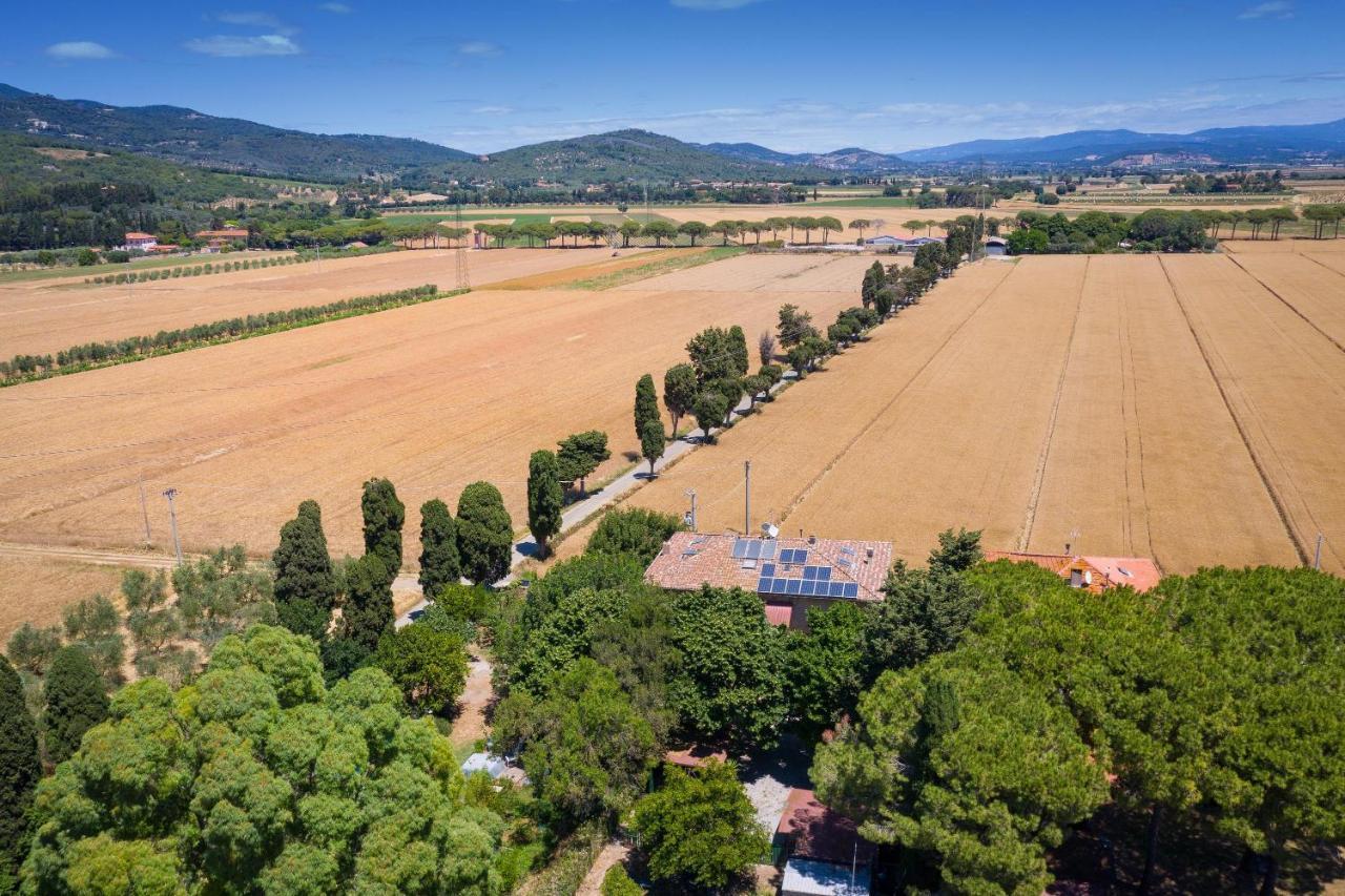 カンピーリア・マリッティマCasa Max - Venturina Termeアパートメント エクステリア 写真